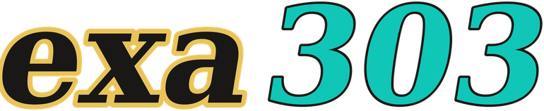 exa303 logo